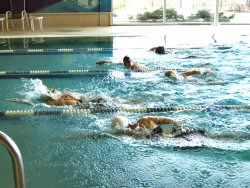 RecPlex 2008 Indoor Triathlon Results